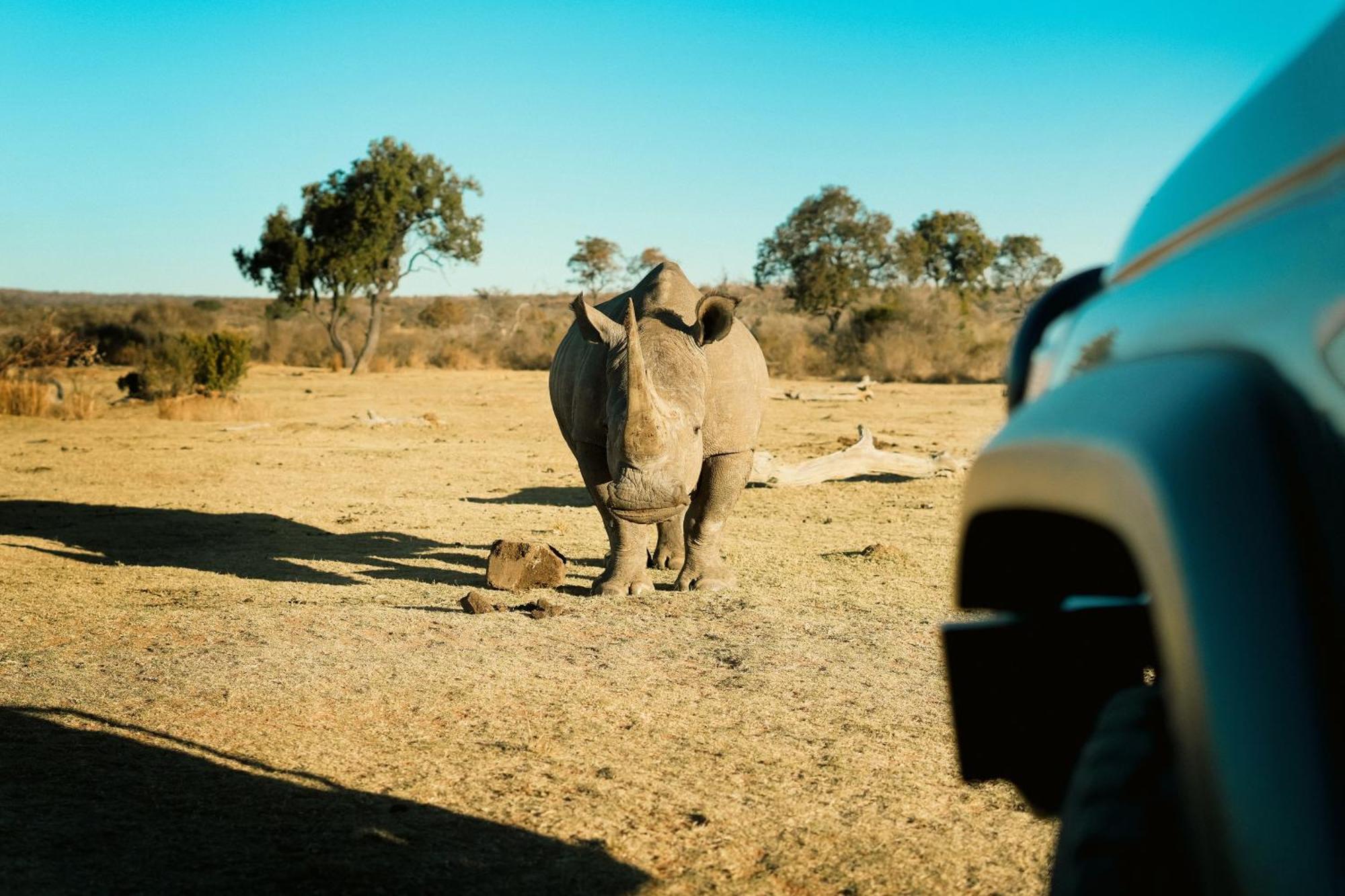 Shibula Safari Lodge Welgevonden Game Reserve Εξωτερικό φωτογραφία
